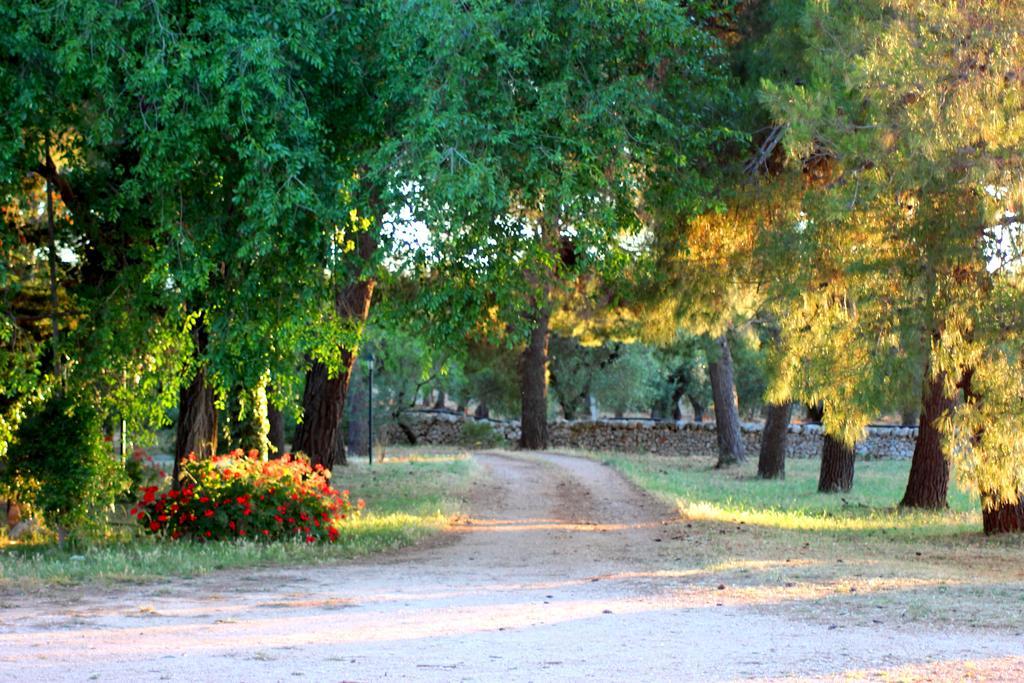 Masseria Gianecchia Cisternino Zewnętrze zdjęcie