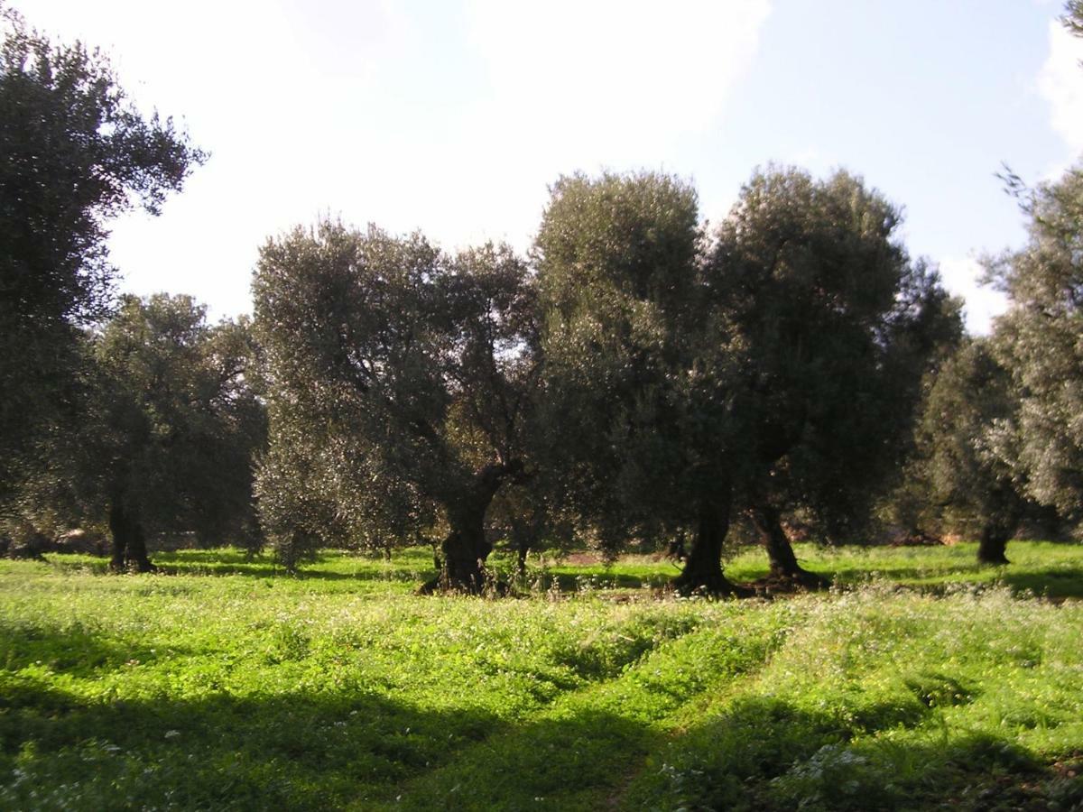 Masseria Gianecchia Cisternino Zewnętrze zdjęcie